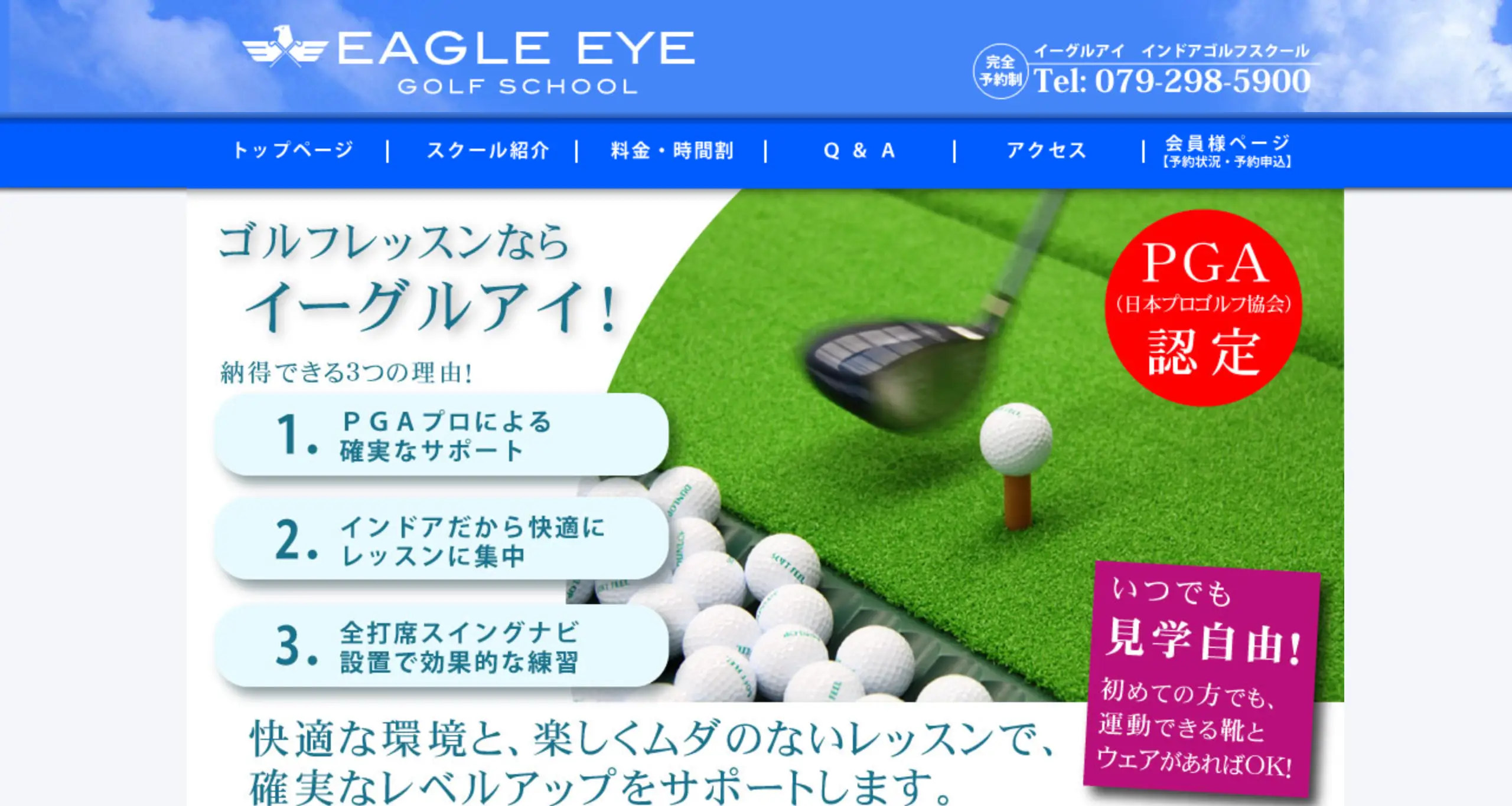 EAGLE EYE GOLF SCHOOL